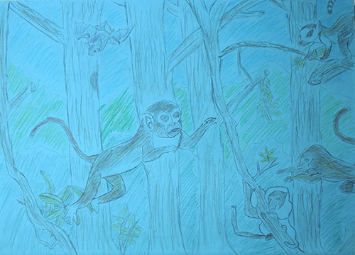 森の中の猿達