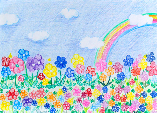虹と花畑